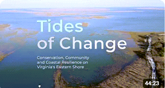 Video: Tides of Change: Conservation, Community and Coastal Resilience on Virginia's Eastern Shore