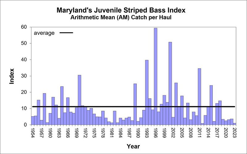 Maryland's Juvenile Striped Bass Index
