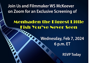 February 2024 showing of 