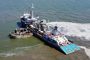 Reduction Fishing Hurts the Ecosystem